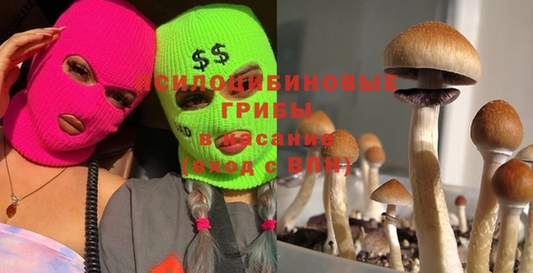 прущая мука Лихославль